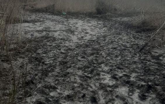 В Курской области отсутствие дороги привело к трагедии
